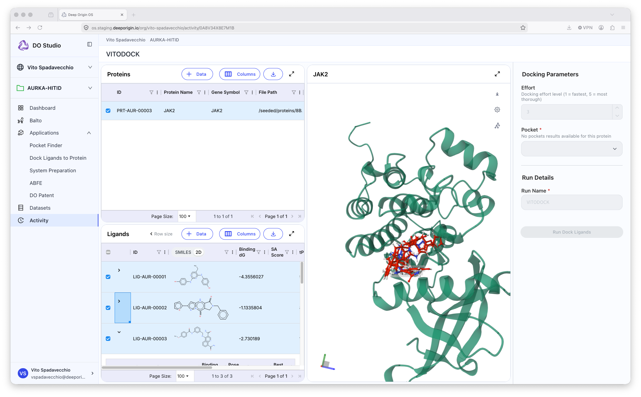 Example output of DO Docking application. 