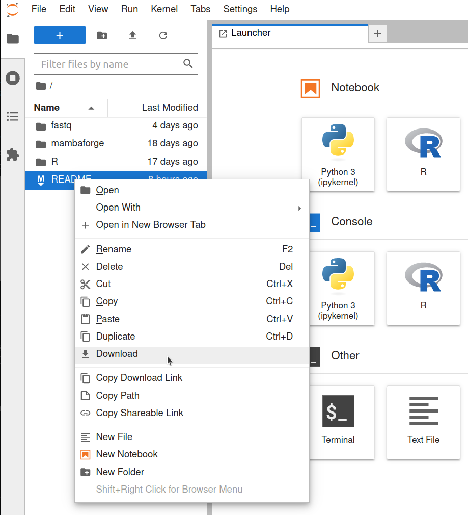 Downloading files with JupyterLab