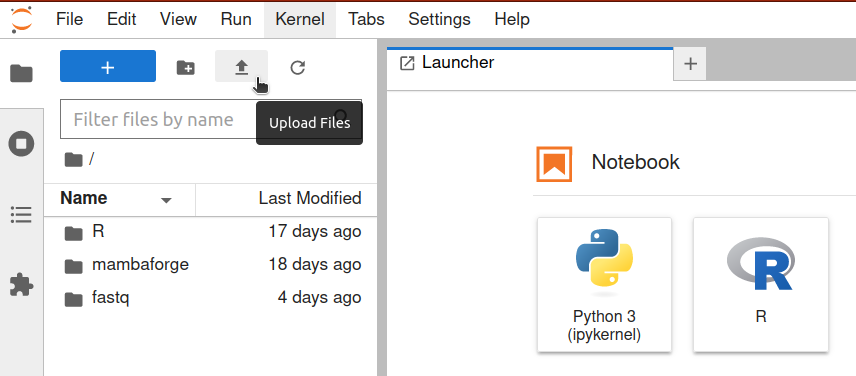 Uploading files with JupyterLab