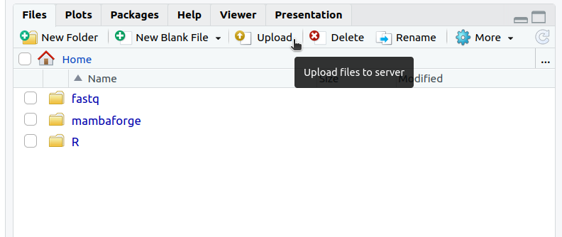 Uploading files with RStudio