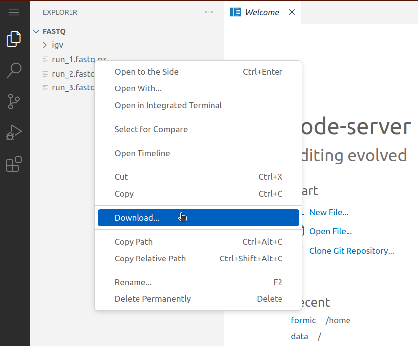 Downloading files with VS Code server